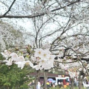 春暖花開 約會女神丨匯信集團關愛女職工活動